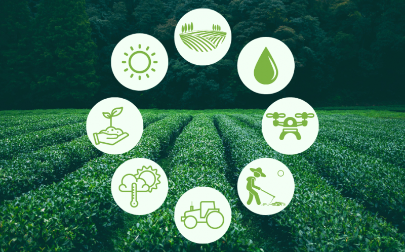  Agronegócio: o que é, como funciona e...